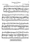 Flute Collection - Intermediate
