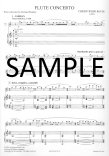 Flute Concerto