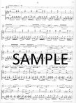 Flute Concerto