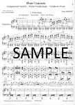 Flute Concerto