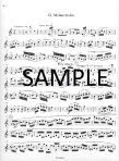 Flute Concerto