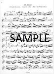 Flute Concerto
