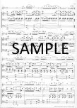 Flute Concerto