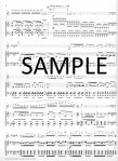 Flute Concerto