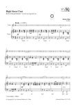 Flute Debut - 12 Easy Pieces for Beginners (Piano Accompaniment)