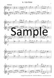 Flute Duets for Young Players (bk2) (score form)