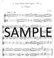 Flute Duets (v.2) (score form)