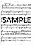 Flute Duets (v.3) (score form)