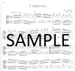 Flute Duos for Beginners (bk1) (ed.Csupor)(sc)