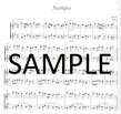Flute Duos for Beginners (bk1) (ed.Csupor)(sc)