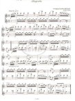 Flute Duos for Beginners(bk2) (sc)