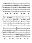 Flute Fandango