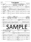 Flute Fantasia
