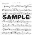 Flute Favorites (v.1)