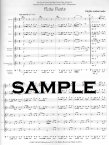 Flute Fiesta