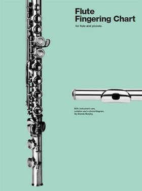 Flute Fingering Chart (tri-fold laminated)