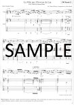 Flute & Guitar Duets for Any Occasion
