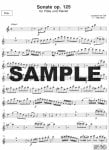 Flute Journal (v.2)
