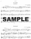 Flute Music for Beginners (v.1)