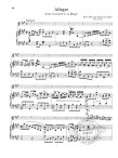Flute Music of the Baroque