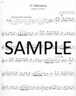 Flute Playlist, The