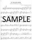 Flute Playlist, The