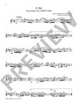 Flute Playlist, The