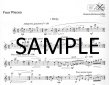 Flute Project - New Pieces for Flute Solo