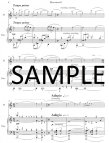 Flute Sonata #9 (Manhattan Sonata)