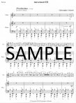 Flute Sonata #9 (Manhattan Sonata)