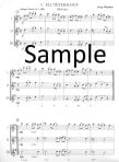 Flute Time - 15 Trios for Flutes (Volume 2) (Score Only)