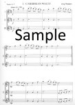 Flute Time - 15 Trios for the Beginning Flutist (Volume 1) (Score Only with CD)