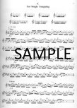 Flutists Handbook: The Art of Staying in Shape