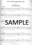 Flutists Handbook: The Art of Staying in Shape