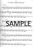 Flutists Handbook: The Art of Staying in Shape
