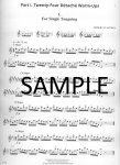 Flutists Handbook: The Art of Staying in Shape