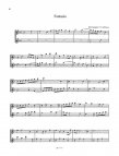 From The Renaissance: Duets for Treble Recorders