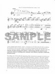 From Theory to Practice:  An Analytical Performance Gude for Flutists (v.1)