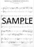 Fun Flute Duets (score form)