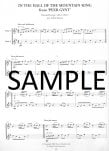 Fun Flute Duets (score form)