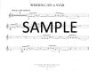 Funky Flute Repertoire (Book 1)