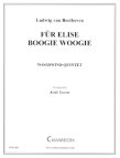 Fur Elise Boogie Woogie