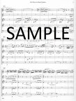 Fur Elise  for Woodwind Quintet(ed.Stewart)(sc&pts)