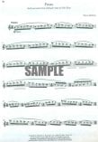 G. Schirmer Flute Anthology-14 Works from the 20th Century