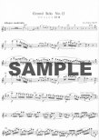 Golden Age of the Flutists (v.1)