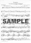 Golden Age of the Flutists (v.2)