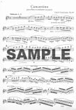 Golden Age of the Flutists (v.3)