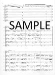 Grand Polonaise in D Op16