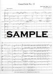 Grand Solo #13 Op96 for Flute and Orchestra