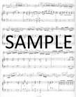 Grand Solo(#13)Op96(ed.Heriche)